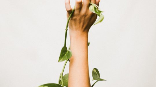 HOME AND GARDEN